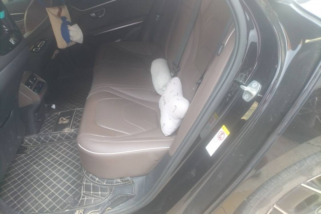 BYD Han 2022 #19 BYD Han 2022 immagine di auto #19