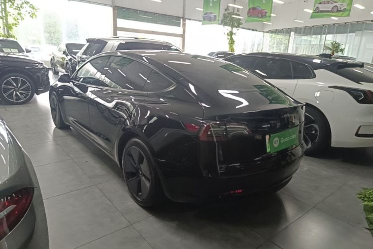 Tesla Model 3 2021 car image #5
