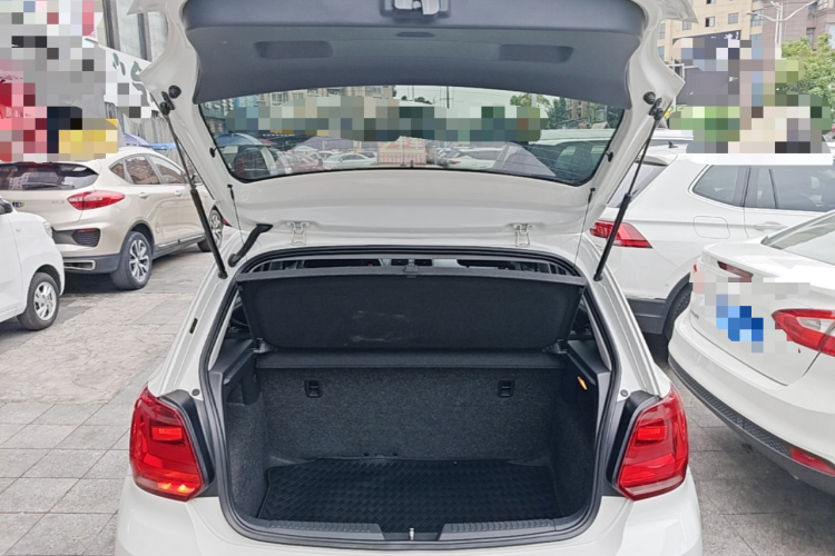 Volkswagen Polo 2016 car image #19