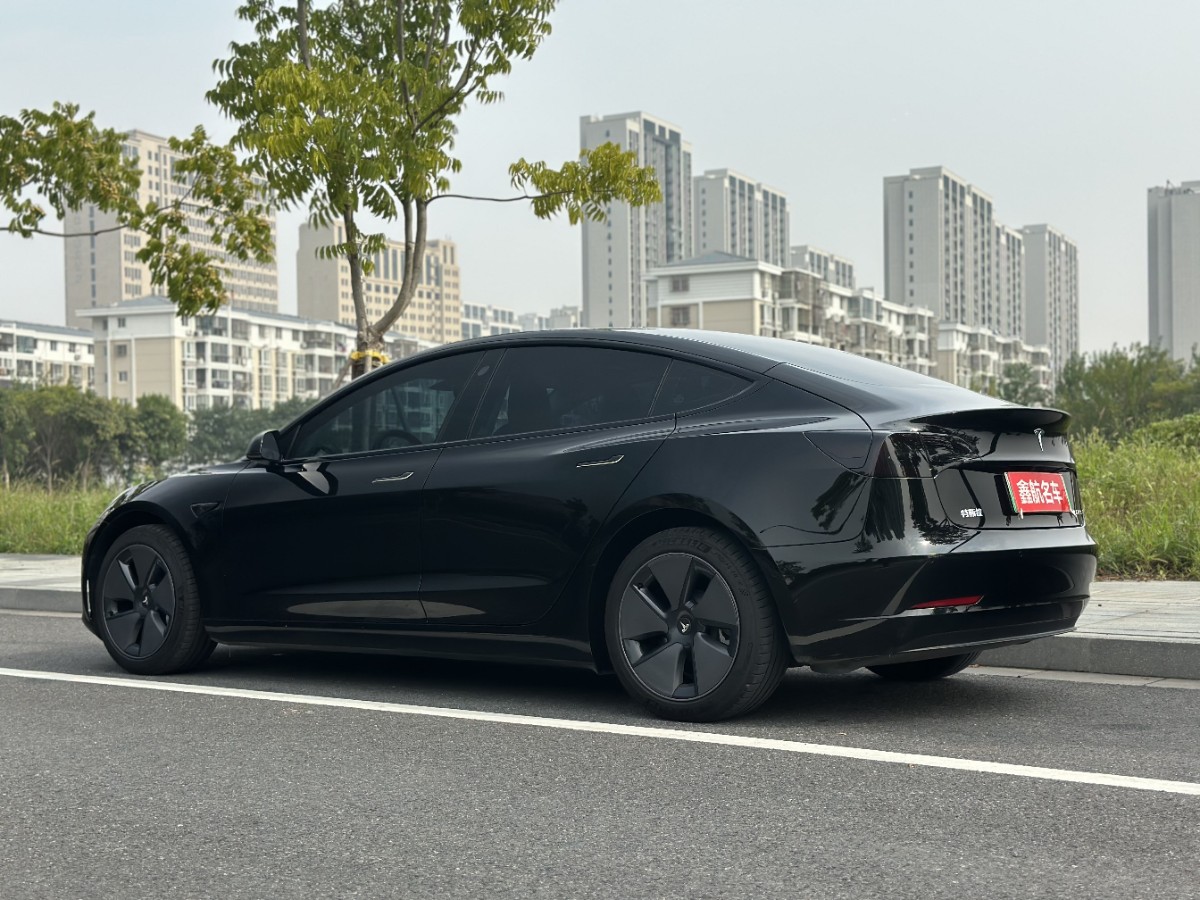 Tesla Model 3 2023 car image #6