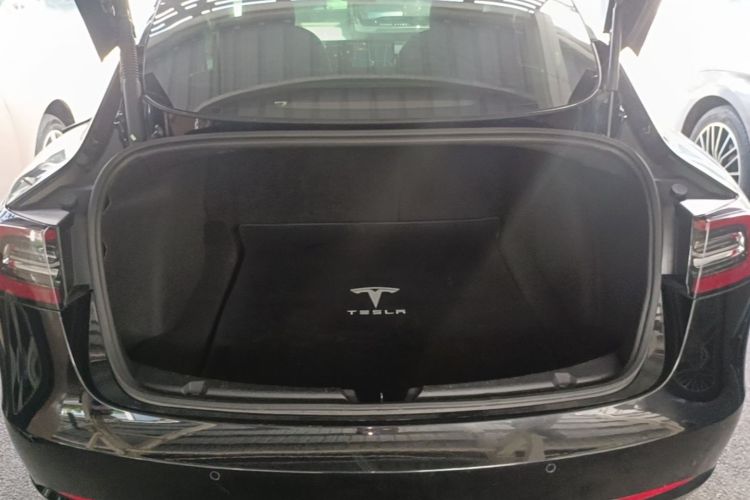 Tesla Model 3 2021 car image #21