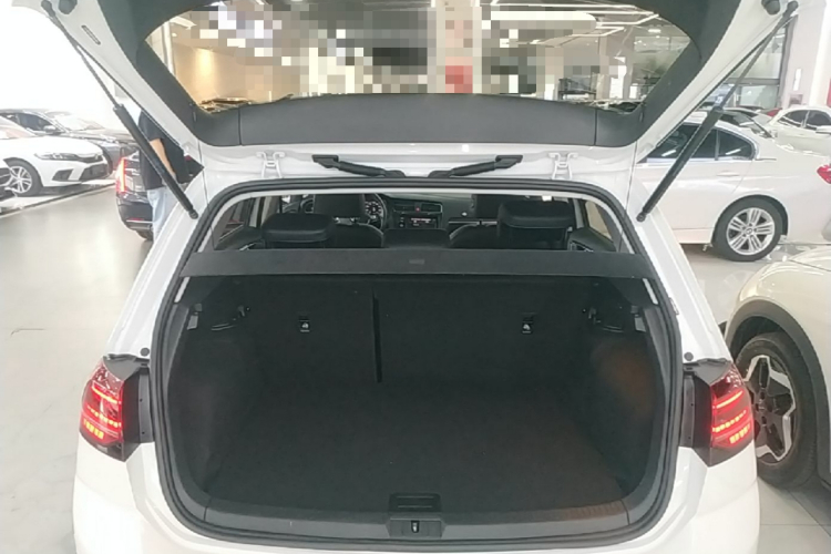 Volkswagen Golf 2019 car image #19