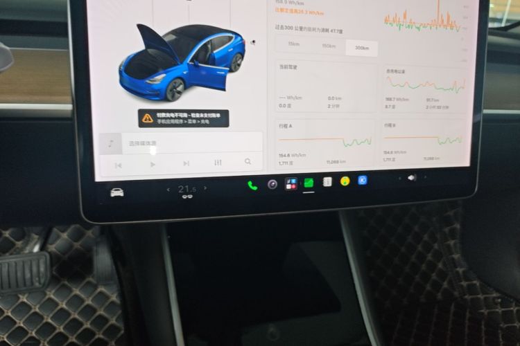 Tesla Model 3 2020 #13 Tesla Model 3 2020 car image #13