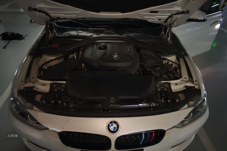 BMW 3 Series 2019 car image #22