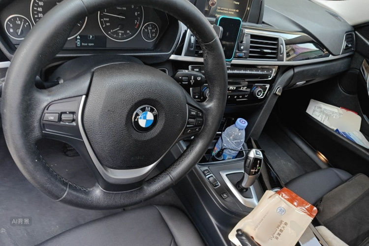 BMW 3 Series 2017 car image #11