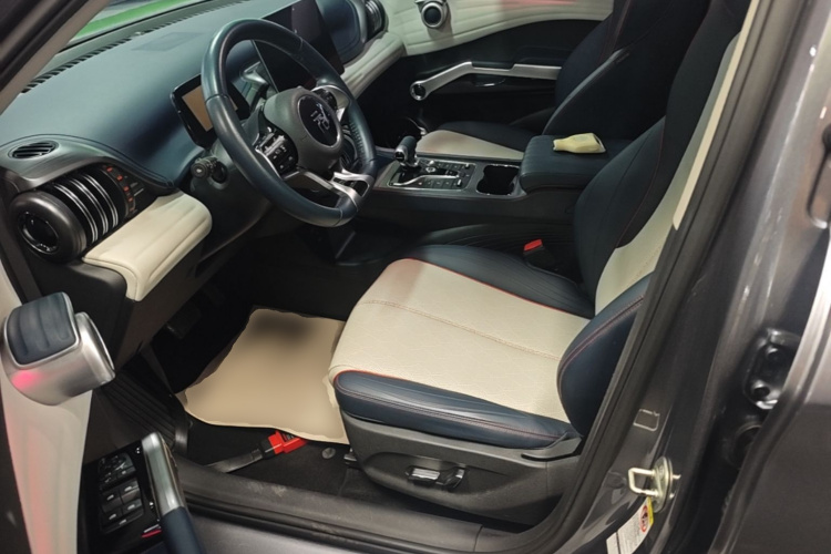 BYD Yuan Plus 2023 car image #19