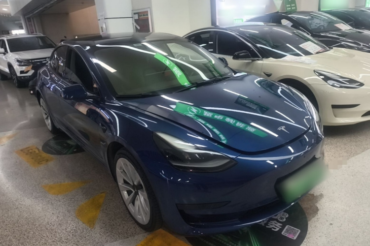 Tesla Model 3 2021 car image #4