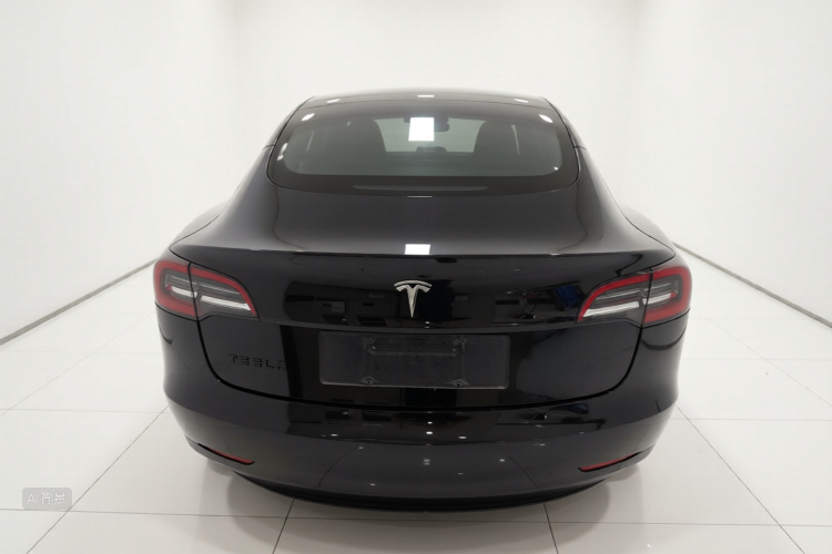 Tesla Model 3 2021 car image #6