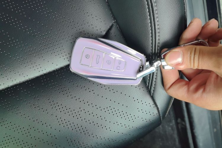 GEELY Emgrand 2022 immagine di auto #13