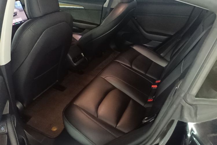 Tesla Model 3 2022 #17 Tesla Model 3 2022 car image #17