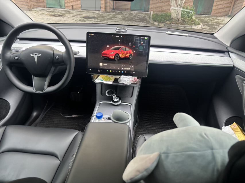 Tesla Model Y 2024 car image #4