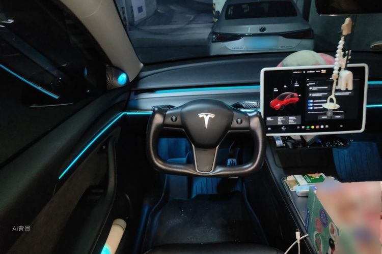 Tesla Model Y 2021 car image #12