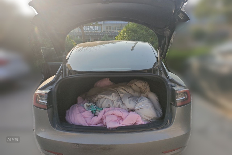 Tesla Model 3 2022 car image #21