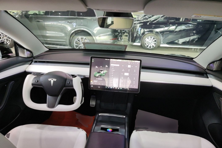 Tesla Model 3 2022 #10 Tesla Model 3 2022 car image #10