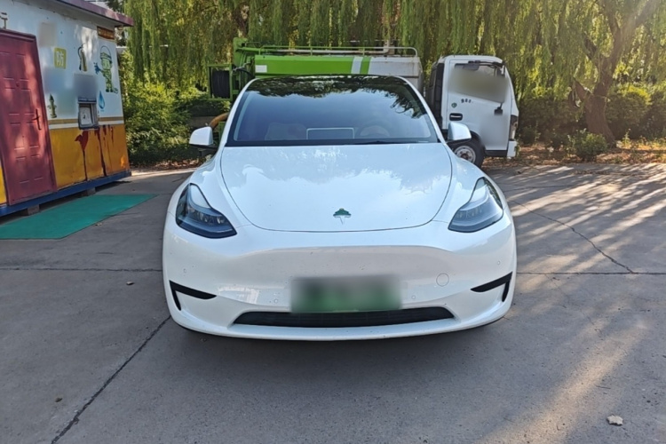 Tesla Model Y 2023 immagine di auto #3