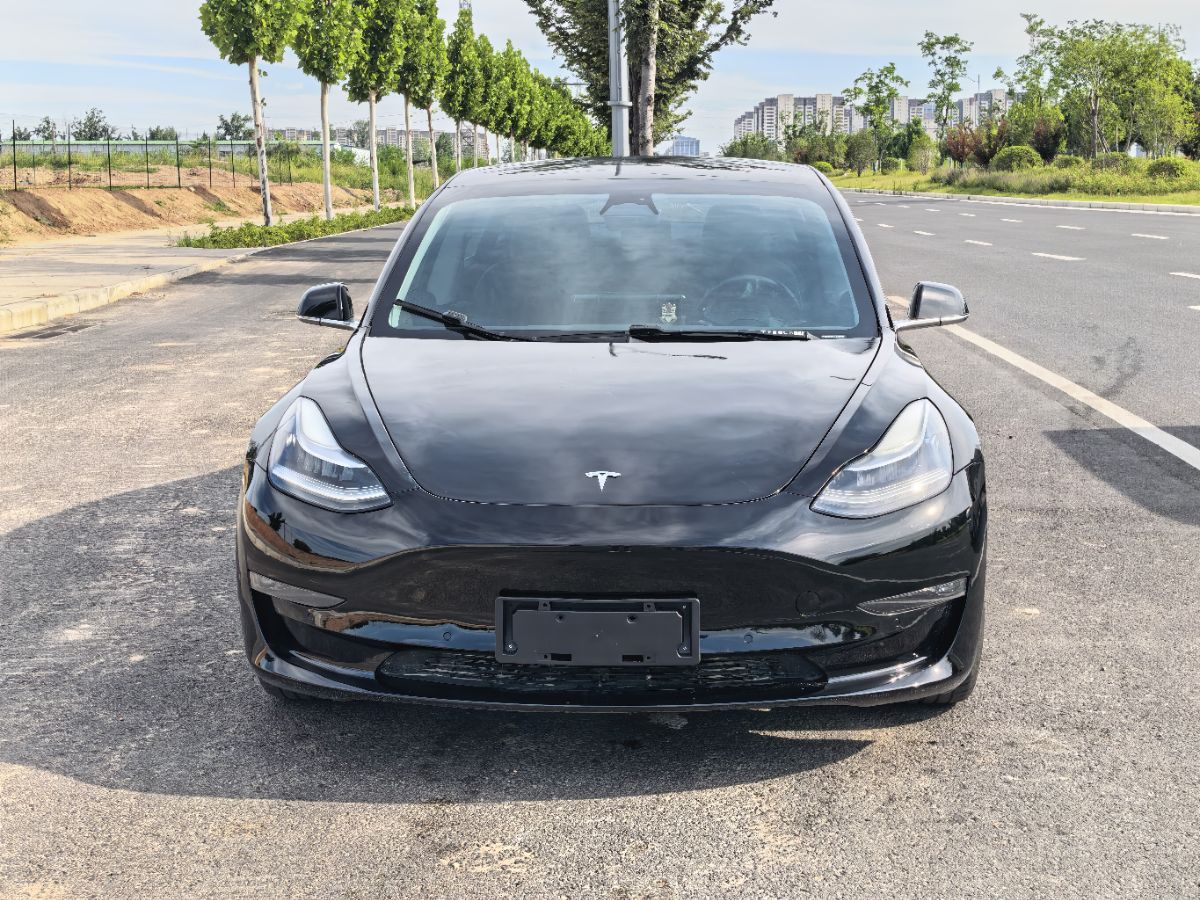 Tesla Model 3 2020 #2 Tesla Model 3 2020 car image #2