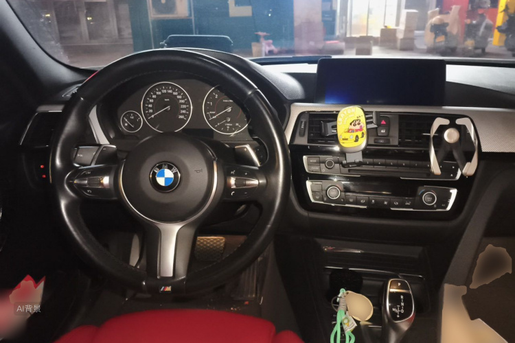 BMW 3 Series 2017 immagine di auto #11