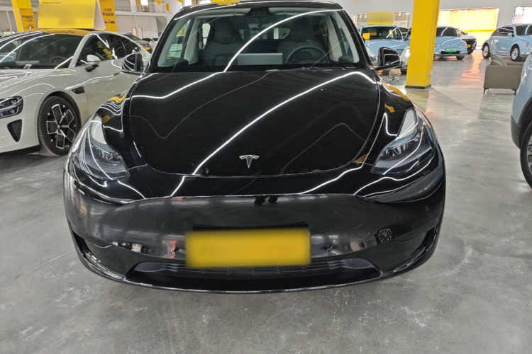 Tesla Model Y 2024 car image #3