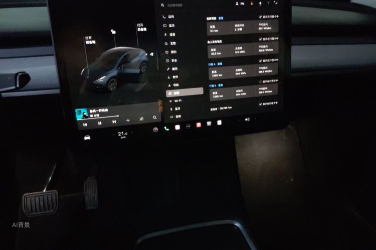 Tesla Model Y 2024 car image #15