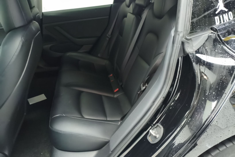Tesla Model 3 2020 #17 Tesla Model 3 2020 car image #17