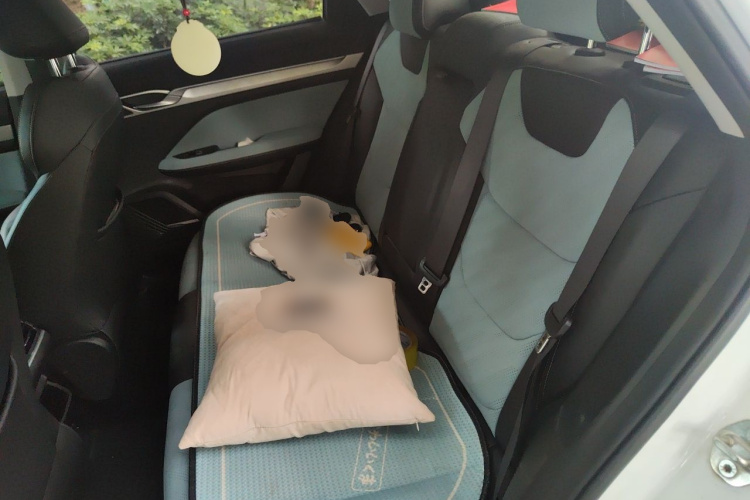 GEELY Emgrand L 2022 #10 GEELY Emgrand L 2022 изображение автомобиля #10