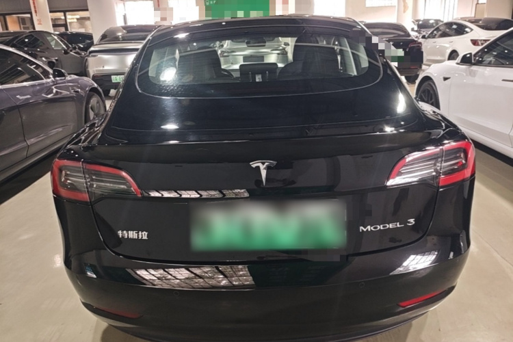 Tesla Model 3 2023 #6 Tesla Model 3 2023 car image #6