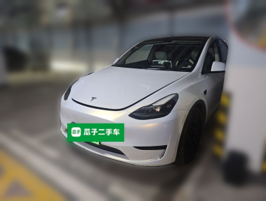 Tesla Model Y 2022 Tesla Model Y 2022 car image