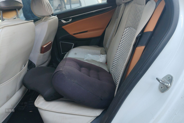 GEELY Emgrand GL 2020 imagem de carro #19