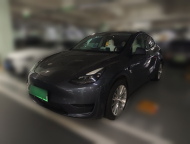 Tesla Model Y 2022 car image 