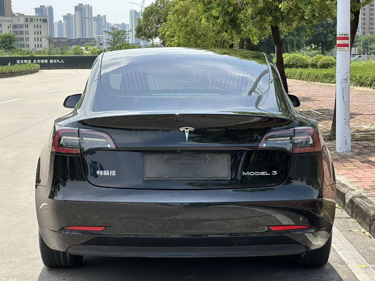 Tesla Model 3 2021 #9 Tesla Model 3 2021 car image #9