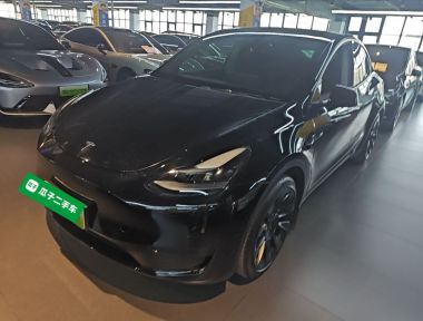 Tesla Model Y 2022 Tesla Model Y 2022 car image