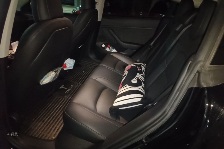 Tesla Model 3 2021 car image #19