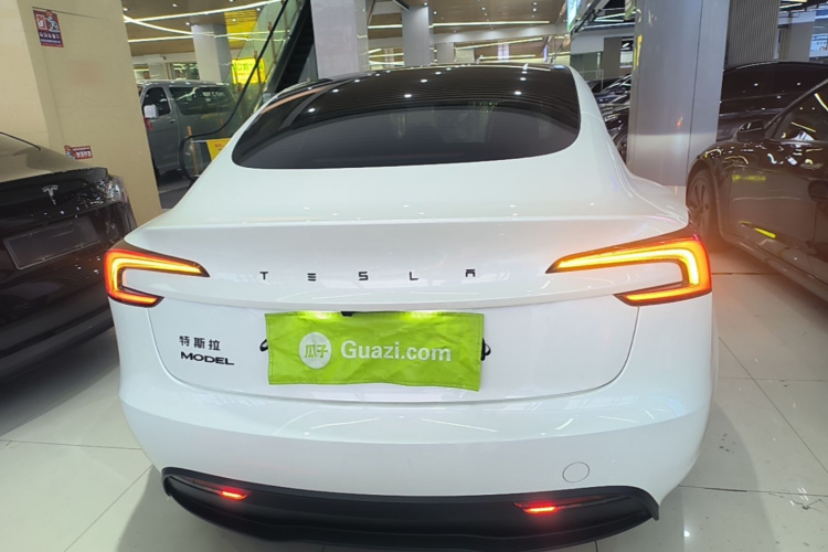Tesla Model 3 2025 car image #6