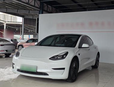 Tesla Model 3 2022 Tesla Model 3 2022 car image