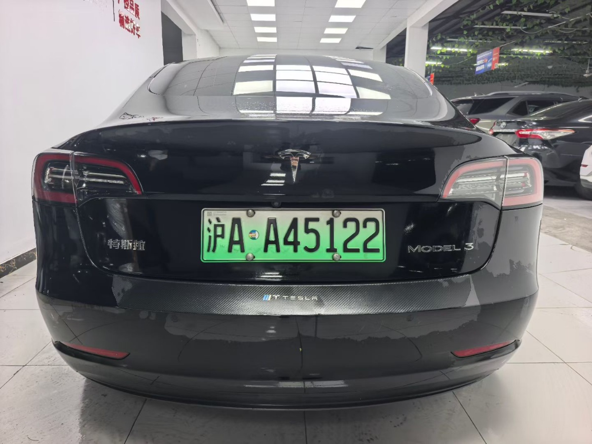 Tesla Model 3 2023 #5 Tesla Model 3 2023 car image #5