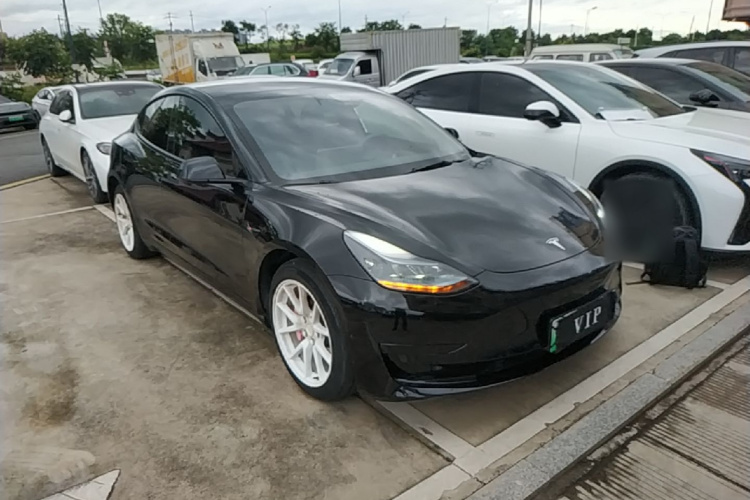 Tesla Model 3 2023 #6 Tesla Model 3 2023 car image #6