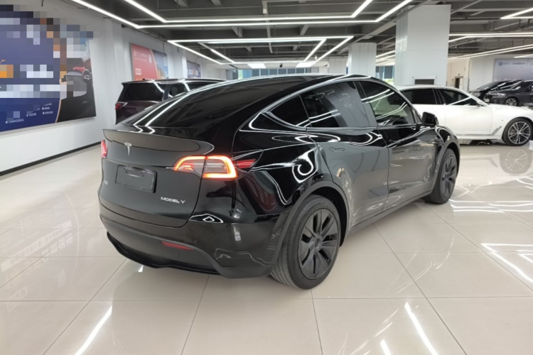 Tesla Model Y 2023 car image #7