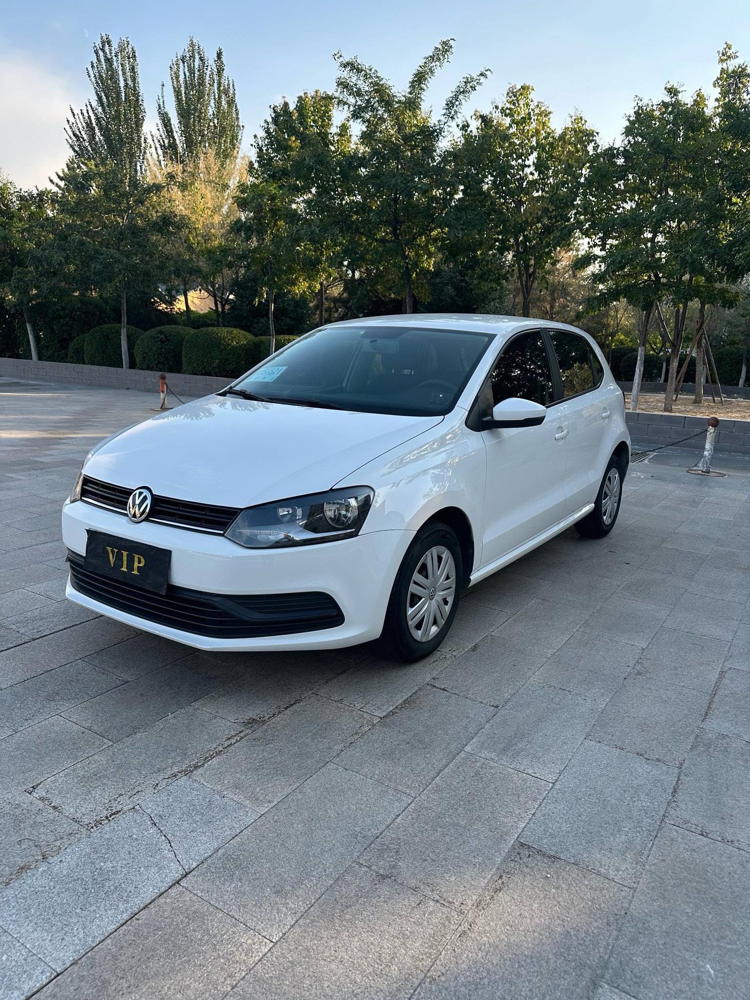 Volkswagen Polo 2017 Volkswagen Polo 2017 car image