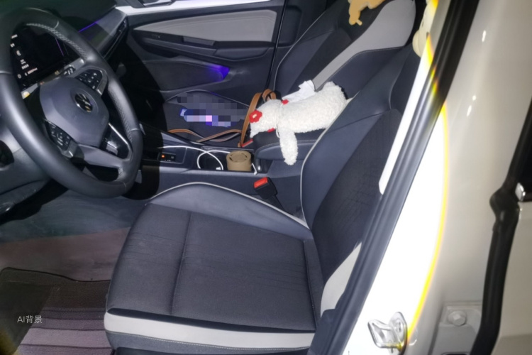 Volkswagen Golf 2024 car image #17