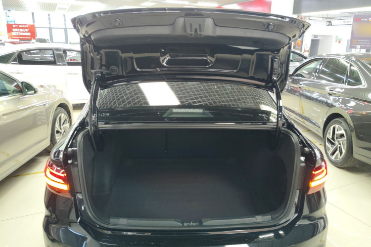 Volkswagen Lavida 2024 car image #19