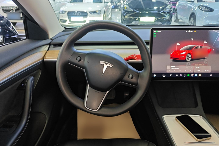 Tesla Model 3 2023 car image #15