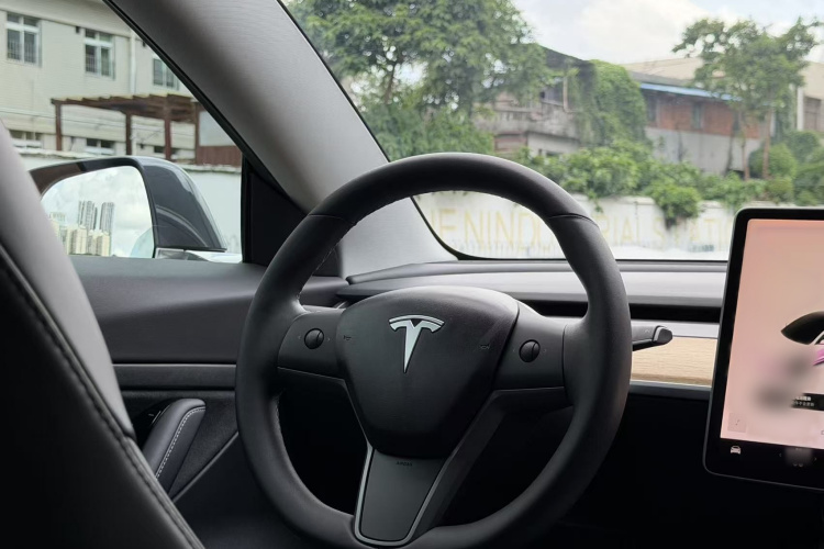 Tesla Model 3 2020 car image #10