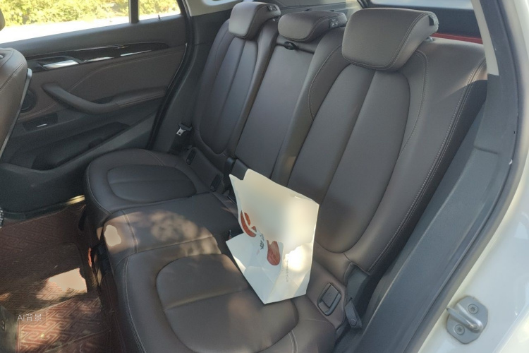 BMW X1 2020 car image #19