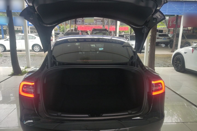Tesla Model 3 2023 car image #19