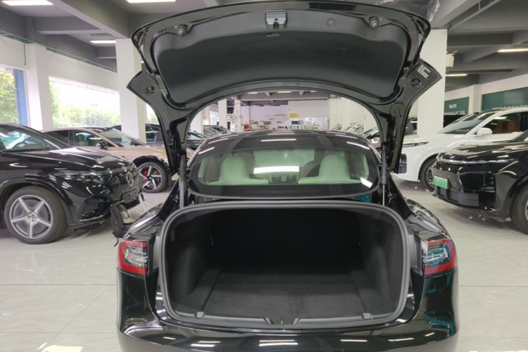 Tesla Model 3 2021 #19 Tesla Model 3 2021 car image #19
