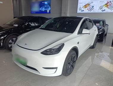 Tesla Model Y 2024 Tesla Model Y 2024 car image