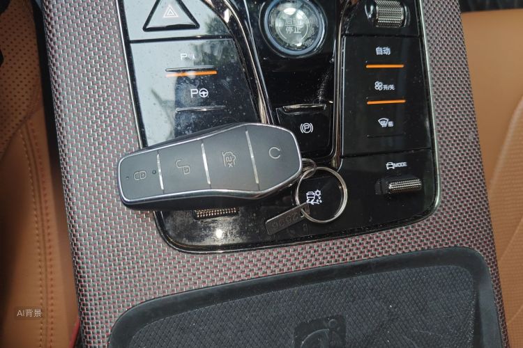 BYD Han 2022 #10 BYD Han 2022 immagine di auto #10