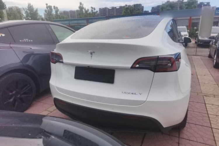 Tesla Model Y 2023 #6 Tesla Model Y 2023 car image #6
