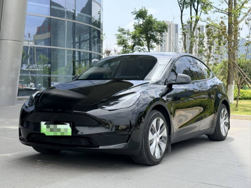 Tesla Model Y 2023 car image 