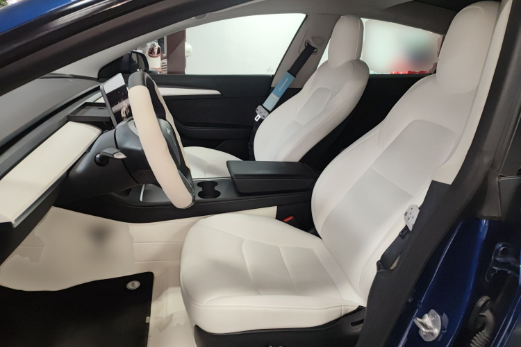 Tesla Model 3 2022 car image #19
